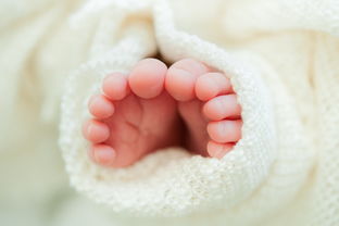 供卵代怀孕妈入盆后多久生 供卵代怀孕妈入盆后多久生